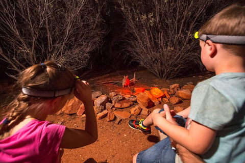 Alice Springs Desert Park Nocturnal Tour - Tourism Guide 4