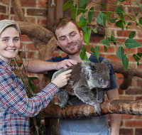 Private Tour Blue Mountains Day Trip from Sydney - Tourism Guide