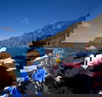 Seal Island Boat Tour from Victor Harbor - Tourism Guide