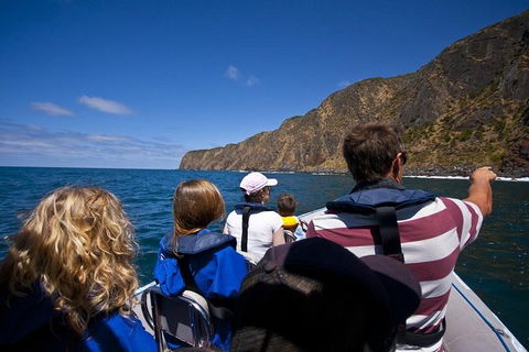 Seal Island Boat Tour From Victor Harbor - Travel Search 0