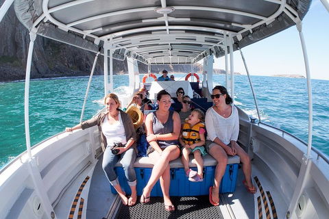 Seal Island Boat Tour From Victor Harbor - Travel Search 1