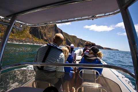 Seal Island Boat Tour From Victor Harbor - Travel Search 2