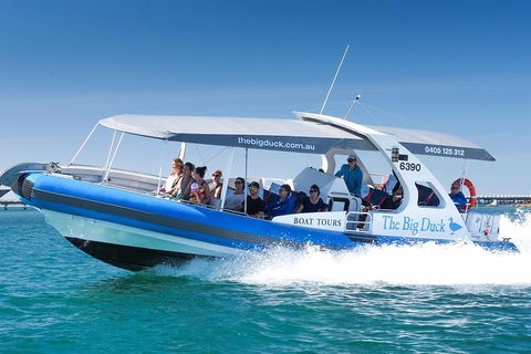 Seal Island Boat Tour From Victor Harbor - Travel Search 3
