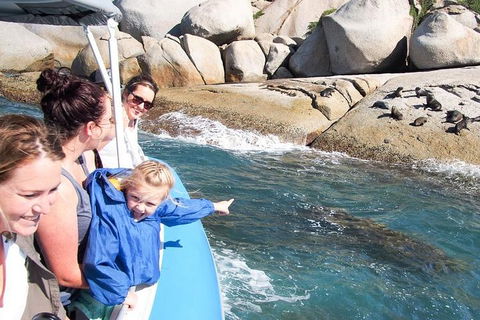 Seal Island Boat Tour From Victor Harbor - Travel Search 4