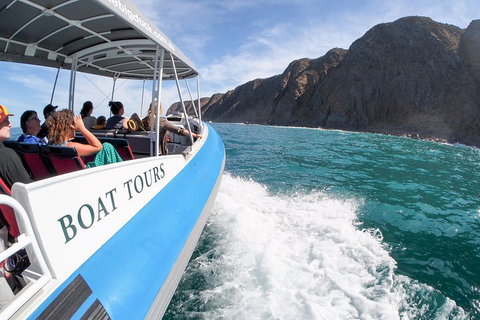 Southern Ocean Adventure From Victor Harbor - Tourism Guide 0
