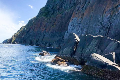 Southern Ocean Adventure From Victor Harbor - Tourism Guide 3