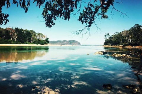 Full-Day Guided Bruny Island Tour From Hobart - Travel Search 1