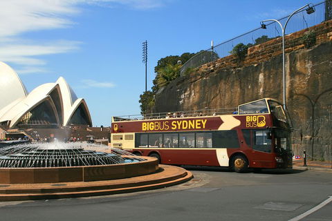 Big Bus Sydney And Bondi Hop-on Hop-off Tour - Travel Search 3