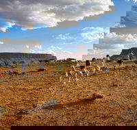 Mount Conner 4WD Small Group Tour from Ayers Rock including Dinner - Travel Search