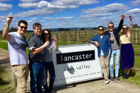 Swan Valley Tour From Perth: Wine, Beer And Chocolate Tastings - Tourism Guide 1