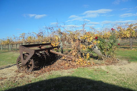 Swan Valley Tour From Perth: Wine, Beer And Chocolate Tastings - Tourism Guide 3