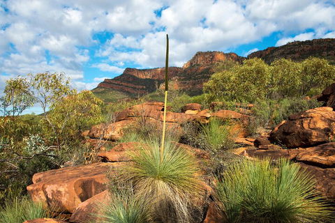 6-Day Eyre Peninsula & Flinders Ranges Adventure Tour - Travel Search 1