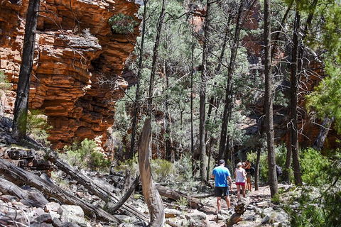 6-Day Eyre Peninsula & Flinders Ranges Adventure Tour - Travel Search 5