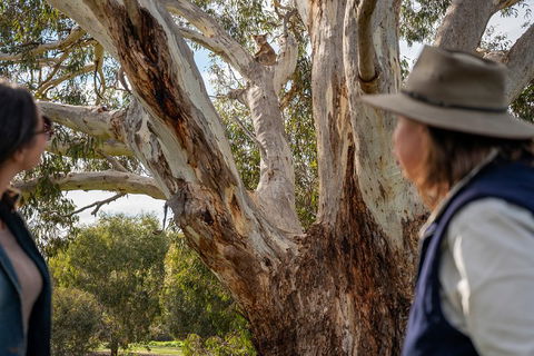 NEW TOUR - Kangaroo Island Road To Recovery Tour (1 Day/1 Night) - Tourism Guide 0