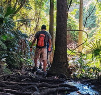 Hike to the Figure Eight Pools - Tourism Guide