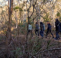 Wild Australian Wildlife 4WD Tour from Sydney - Tourism Guide