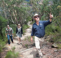 Small-Group Blue Mountains Tour with Bush Walks and Featherdale Wildlife Park - Tourism Guide