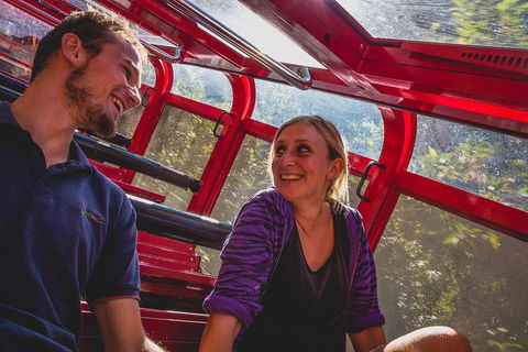 Blue Mountains Hop-on Hop-off Tour With Optional Scenic World Rides - Cruises Travel 5