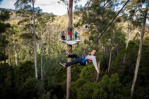 Hollybank Wilderness Adventure - Zipline Tours - Tourism Guide 0