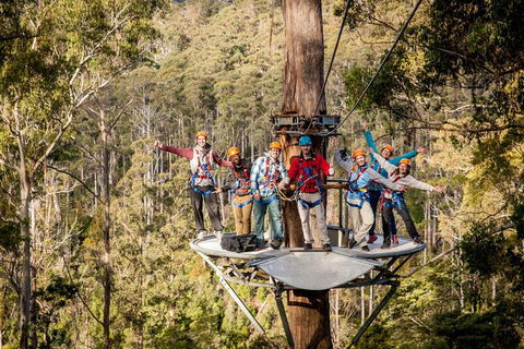Hollybank Wilderness Adventure - Zipline Tours - Tourism Guide 1
