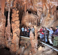 Blue Mountains Private Tour from Sydney with Jenolan Caves - Tourism Guide