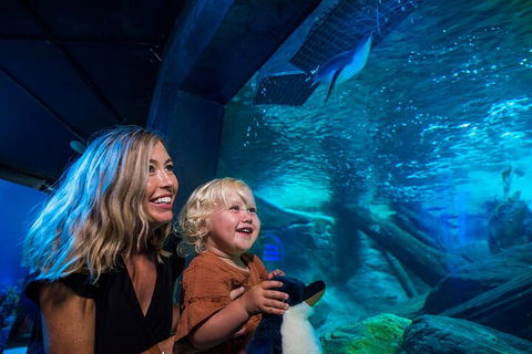 SEA LIFE Sunshine Coast Aquarium Entrance Ticket - Tourism Guide 0