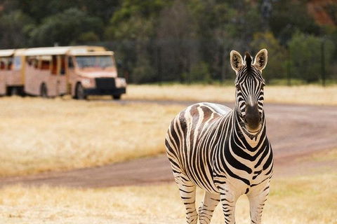 Werribee Open Range Zoo General Admission Ticket - Tourism Guide 5