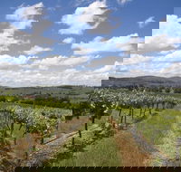 Hunter Valley Wine Tour from Sydney incl Lunch Cheese Chocolate and Distillery - Tourism Guide
