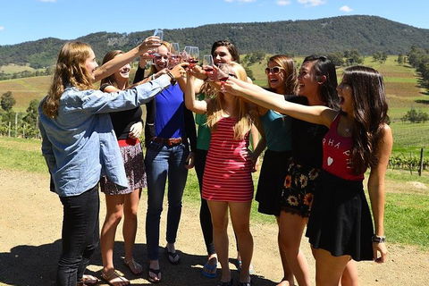 Hunter Valley Wine Tour From Sydney Incl Lunch, Cheese, Chocolate And Distillery - Travel Agents 3