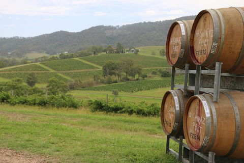 Hunter Valley Wine Tour From Sydney Incl Lunch, Cheese, Chocolate And Distillery - Travel Agents 5