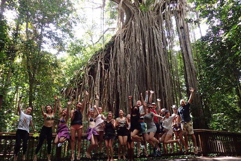 Atherton Tablelands Waterfalls Tour From Cairns - Tourism Guide 5