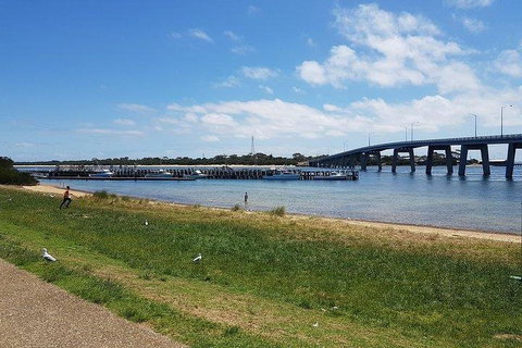 Phillip Island Penguin And Wildlife Tour - Tourism Guide 4