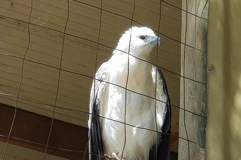 Phillip Island Penguin And Wildlife Tour - Tourism Guide 5
