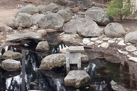 Bendigo, Echuca & The Mighty Murray - Tourism Guide 1