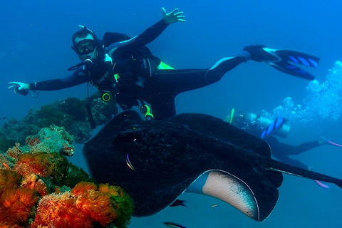 Scuba Dive The S.S. Yongala Wreck On The Great Barrier Reef. - Travel Agents 0