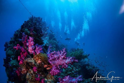 Scuba Dive The S.S. Yongala Wreck On The Great Barrier Reef. - Travel Agents 2