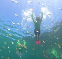 Manly Snorkel Trip and Nature Walk with Local Guide - Tourism Guide
