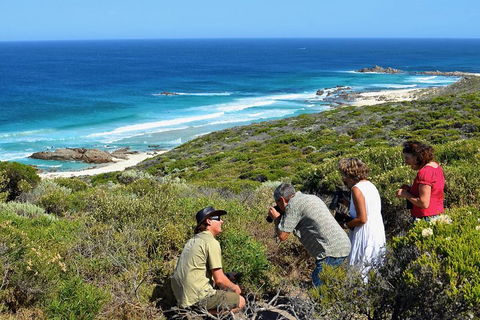 Margaret River Coastal And Wildlife Eco Trip From Busselton Or Dunsborough - Tourism Guide 2
