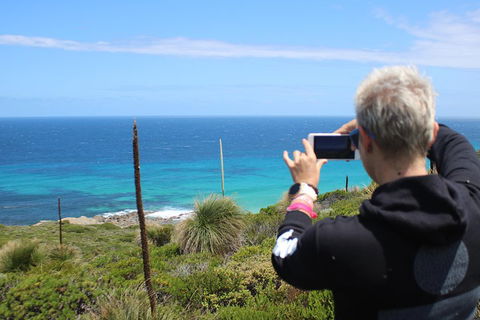 Margaret River Coastal And Wildlife Eco Trip From Busselton Or Dunsborough - Tourism Guide 3